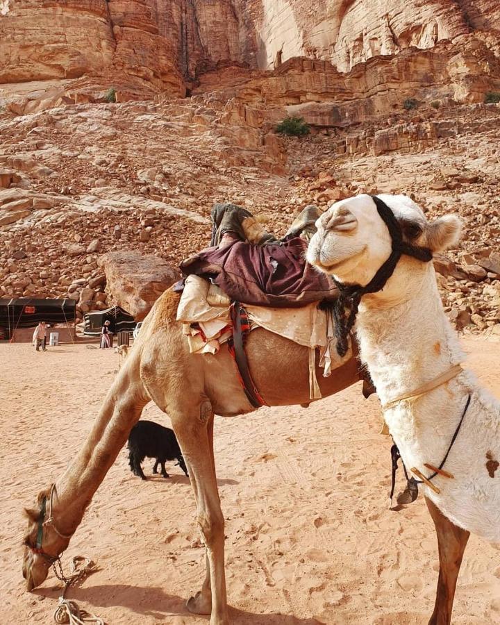 Frühstückspension Bedouin Memories Camp Wadi Rum